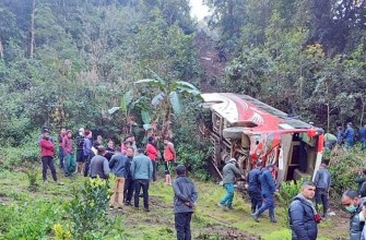 पाल्पामा बस दुर्घटना हुँदा ७ जनाको मृत्यु 